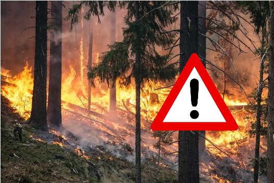 Waldbrand